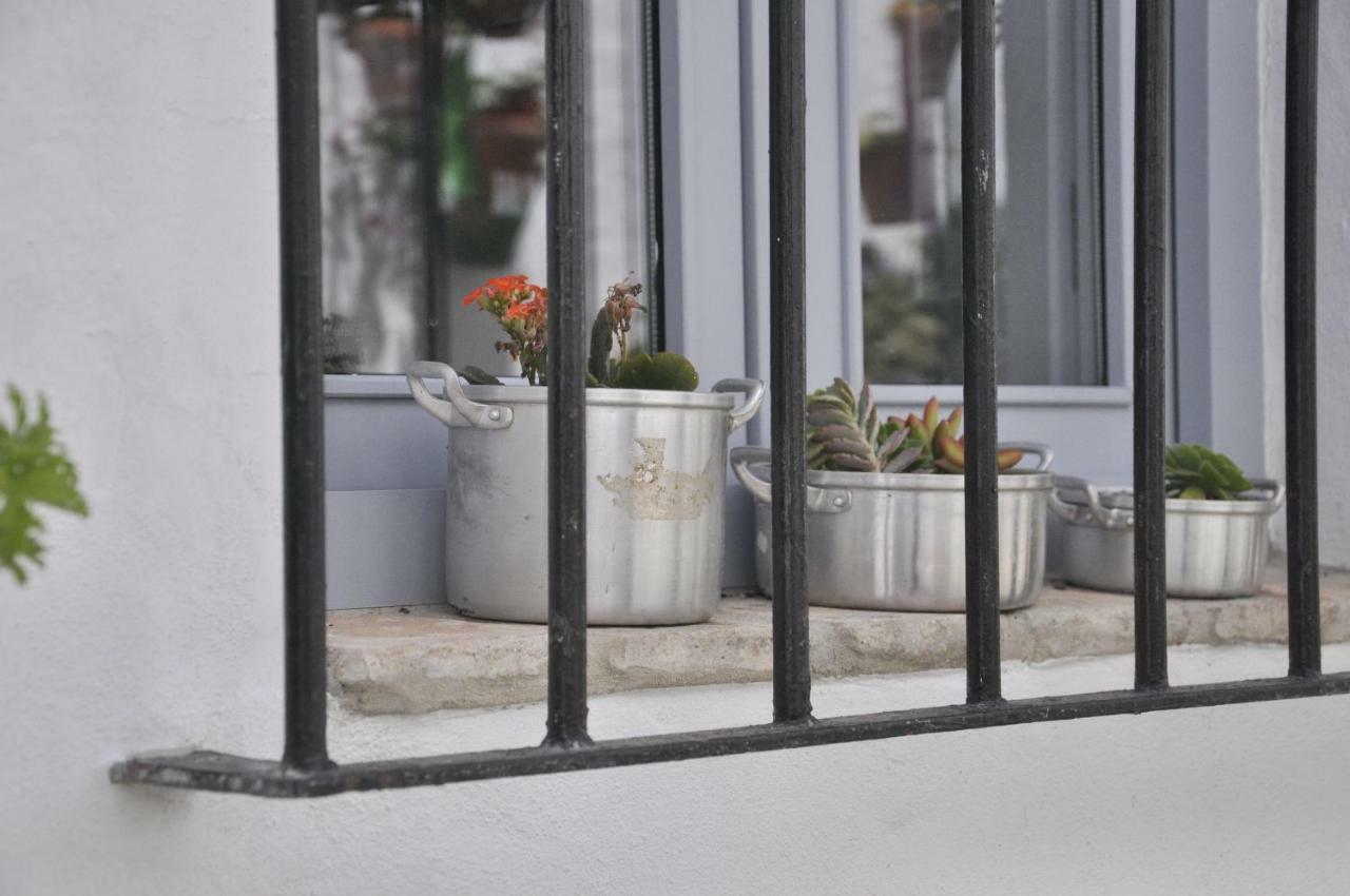 Vivienda Turistica De Alojamiento Rural Silla Vieja 11 Vejer de la Frontera Dış mekan fotoğraf